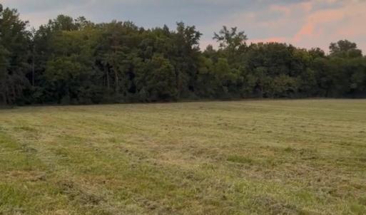 Photo #7 of 6061 River Run, Graham, NC 19.1 acres