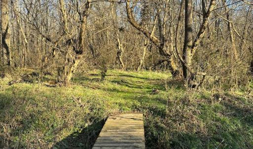 Photo #14 of 6061 River Run, Graham, NC 19.1 acres