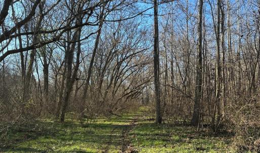 Photo #15 of 6061 River Run, Graham, NC 19.1 acres