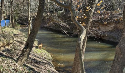 Photo #21 of 6061 River Run, Graham, NC 19.1 acres