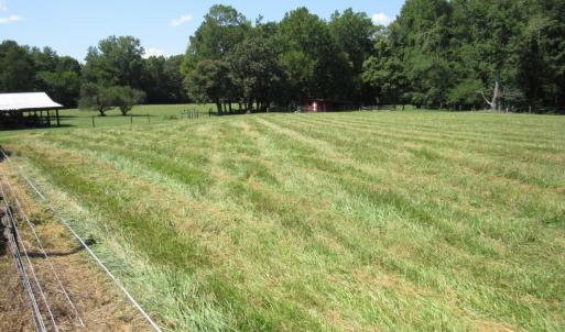 Photo #6 of Lot 2 Spring Valley, Henderson, NC 10.9 acres