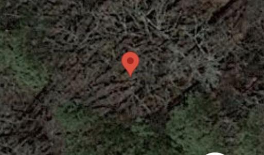 Photo #2 of University Station, Chapel Hill, NC 64.4 acres