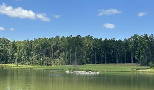 Photo #14 of 230 Bealy Farm, Zebulon, NC 2.7 acres