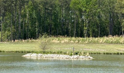 Photo #6 of 230 Bealy Farm, Zebulon, NC 2.7 acres