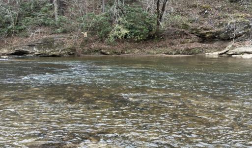 Photo #3 of Seven Island (tr 3), Danbury, NC 16.1 acres