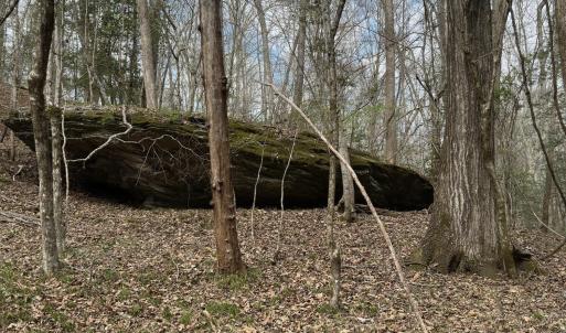 Photo #2 of Seven Island (tr 2), Danbury, NC 12.0 acres