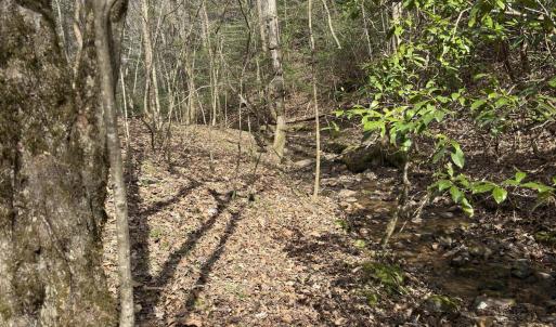 Photo #3 of Seven Island (tr 2), Danbury, NC 12.0 acres