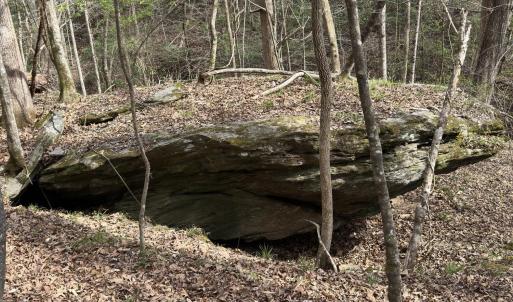 Photo #4 of Seven Island (tr 2), Danbury, NC 12.0 acres