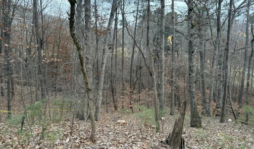 Photo #5 of 57803 Owen, Chapel Hill, NC 0.5 acres