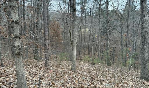 Photo #4 of 57803 Owen, Chapel Hill, NC 0.5 acres