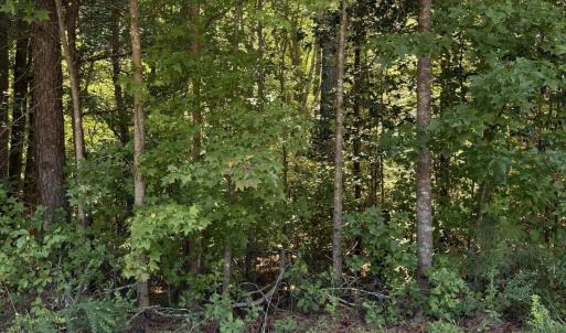 Photo #2 of Williams Farm, Sanford, NC 4.1 acres