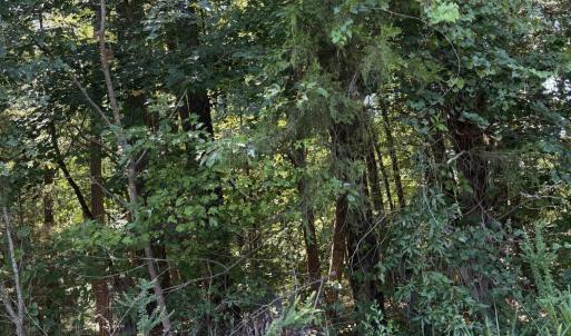 Photo #1 of Williams Farm, Sanford, NC 4.1 acres