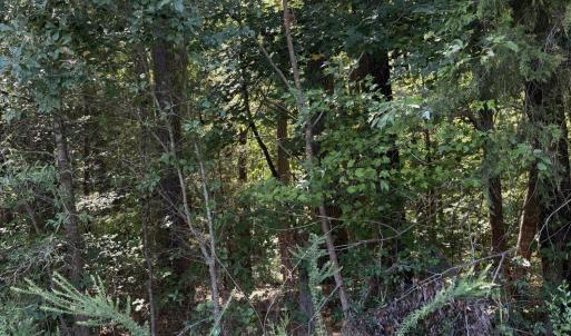 Photo #3 of Williams Farm, Sanford, NC 4.1 acres
