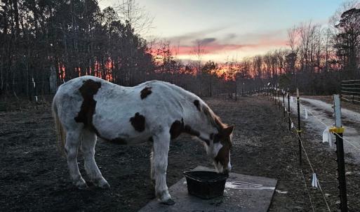 Photo #18 of 2916 Rolesville, Wendell, NC 15.0 acres