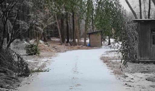 Photo #15 of 2916 Rolesville, Wendell, NC 15.0 acres