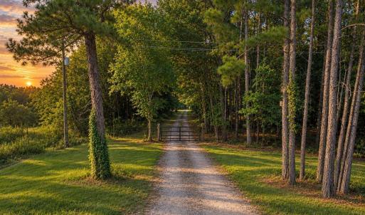Photo #1 of 2916 Rolesville, Wendell, NC 15.0 acres