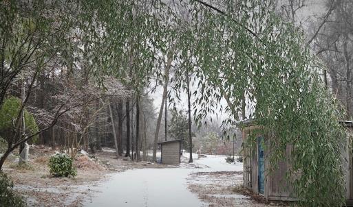 Photo #19 of 2916 Rolesville, Wendell, NC 15.0 acres