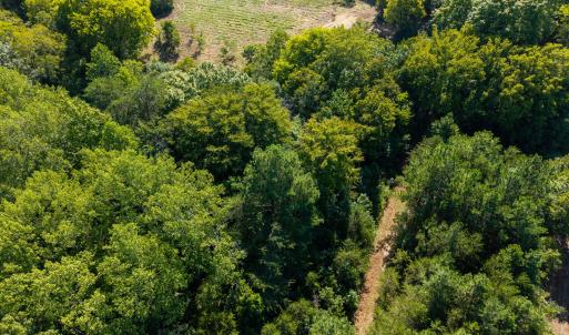 Photo #10 of Lot 2 Pennstar, Mebane, NC 4.0 acres