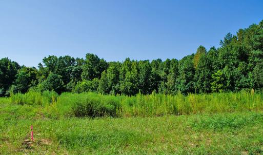 Photo #9 of 12 Rock Mill, Henderson, NC 12.5 acres
