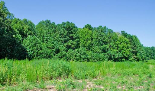 Photo #15 of 12 Rock Mill, Henderson, NC 12.5 acres