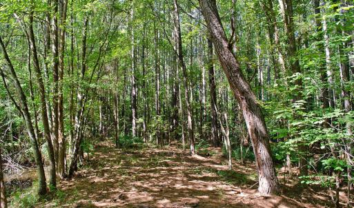 Photo #14 of 12 Rock Mill, Henderson, NC 12.5 acres