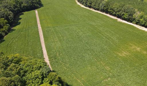 Photo #7 of Epsom Rocky Ford, Henderson, NC 32.0 acres