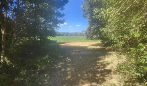 Photo #19 of Epsom Rocky Ford, Henderson, NC 32.0 acres