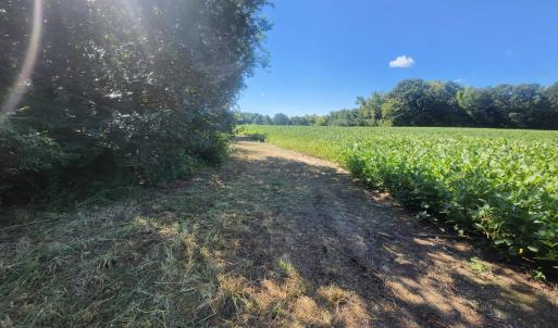 Photo #12 of Epsom Rocky Ford, Henderson, NC 32.0 acres