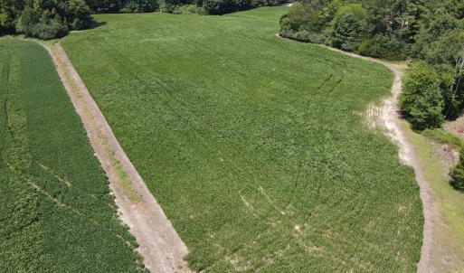 Photo #3 of Epsom Rocky Ford, Henderson, NC 32.0 acres