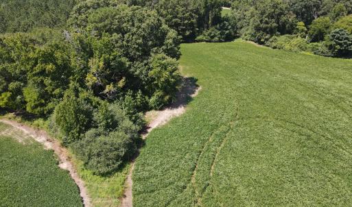 Photo #5 of Epsom Rocky Ford, Henderson, NC 32.0 acres