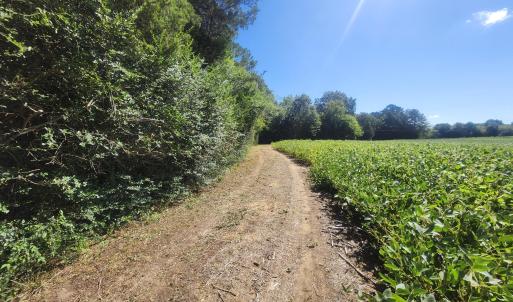 Photo #11 of Epsom Rocky Ford, Henderson, NC 32.0 acres