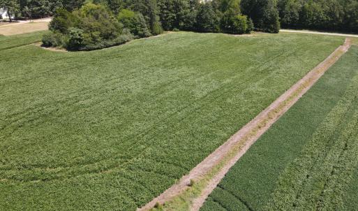 Photo #4 of Epsom Rocky Ford, Henderson, NC 32.0 acres