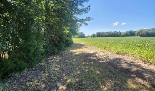 Photo #9 of Epsom Rocky Ford, Henderson, NC 32.0 acres