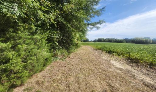 Photo #20 of Epsom Rocky Ford, Henderson, NC 32.0 acres