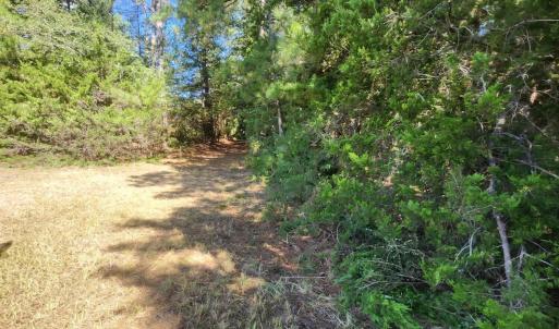 Photo #8 of Epsom Rocky Ford, Henderson, NC 32.0 acres
