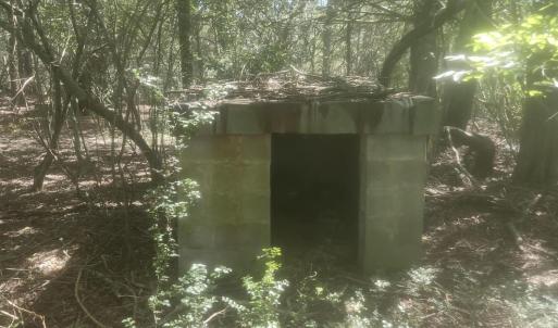Photo #13 of Epsom Rocky Ford, Henderson, NC 32.0 acres