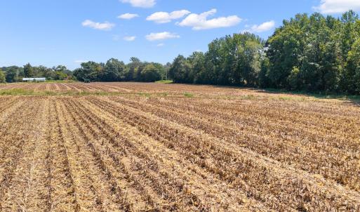 Photo #11 of 6086 Nc 231, Middlesex, NC 8.2 acres