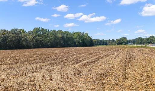 Photo #8 of 6086 Nc 231, Middlesex, NC 8.2 acres