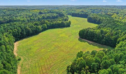 Photo #23 of 6056 Hobgood, Rougemont, NC 300.0 acres