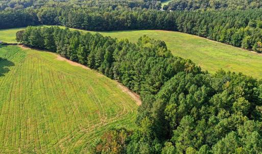 Photo #27 of 6056 Hobgood, Rougemont, NC 300.0 acres