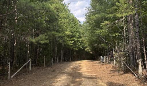 Photo #7 of 6056 Hobgood, Rougemont, NC 300.0 acres