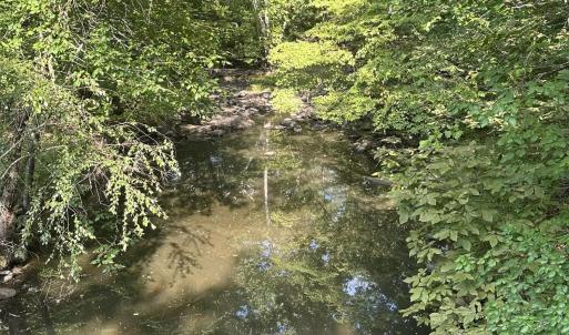 Photo #14 of 6056 Hobgood, Rougemont, NC 300.0 acres