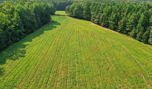 Photo #26 of 6056 Hobgood, Rougemont, NC 300.0 acres