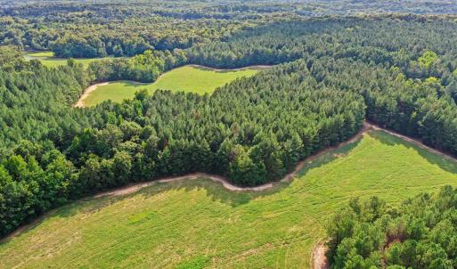 Photo #21 of 6056 Hobgood, Rougemont, NC 300.0 acres