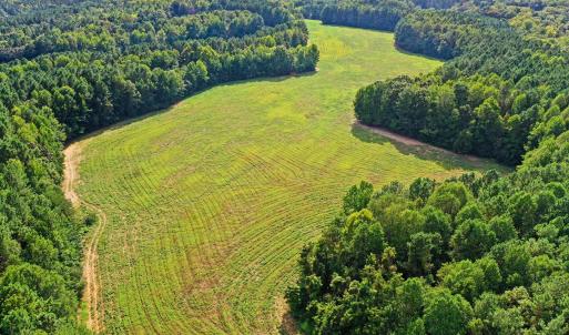 Photo #24 of 6056 Hobgood, Rougemont, NC 300.0 acres