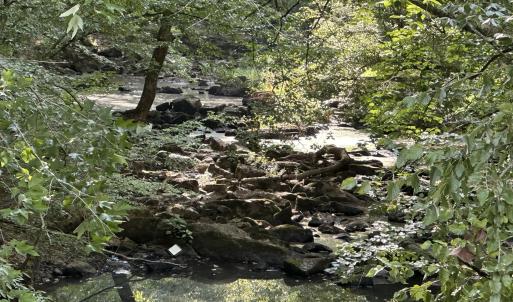 Photo #12 of 6056 Hobgood, Rougemont, NC 300.0 acres
