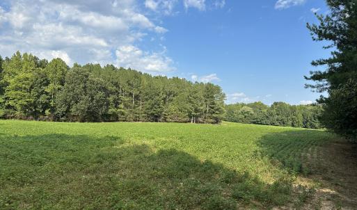 Photo #8 of 6056 Hobgood, Rougemont, NC 300.0 acres