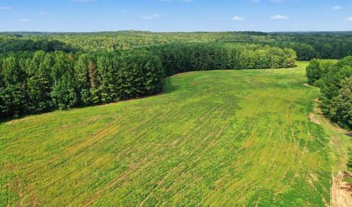 Photo #22 of 6056 Hobgood, Rougemont, NC 300.0 acres