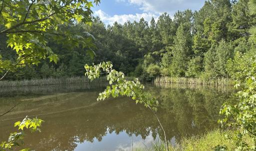 Photo #10 of 6056 Hobgood, Rougemont, NC 300.0 acres