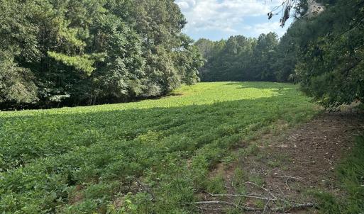 Photo #4 of 6056 Hobgood, Rougemont, NC 300.0 acres
